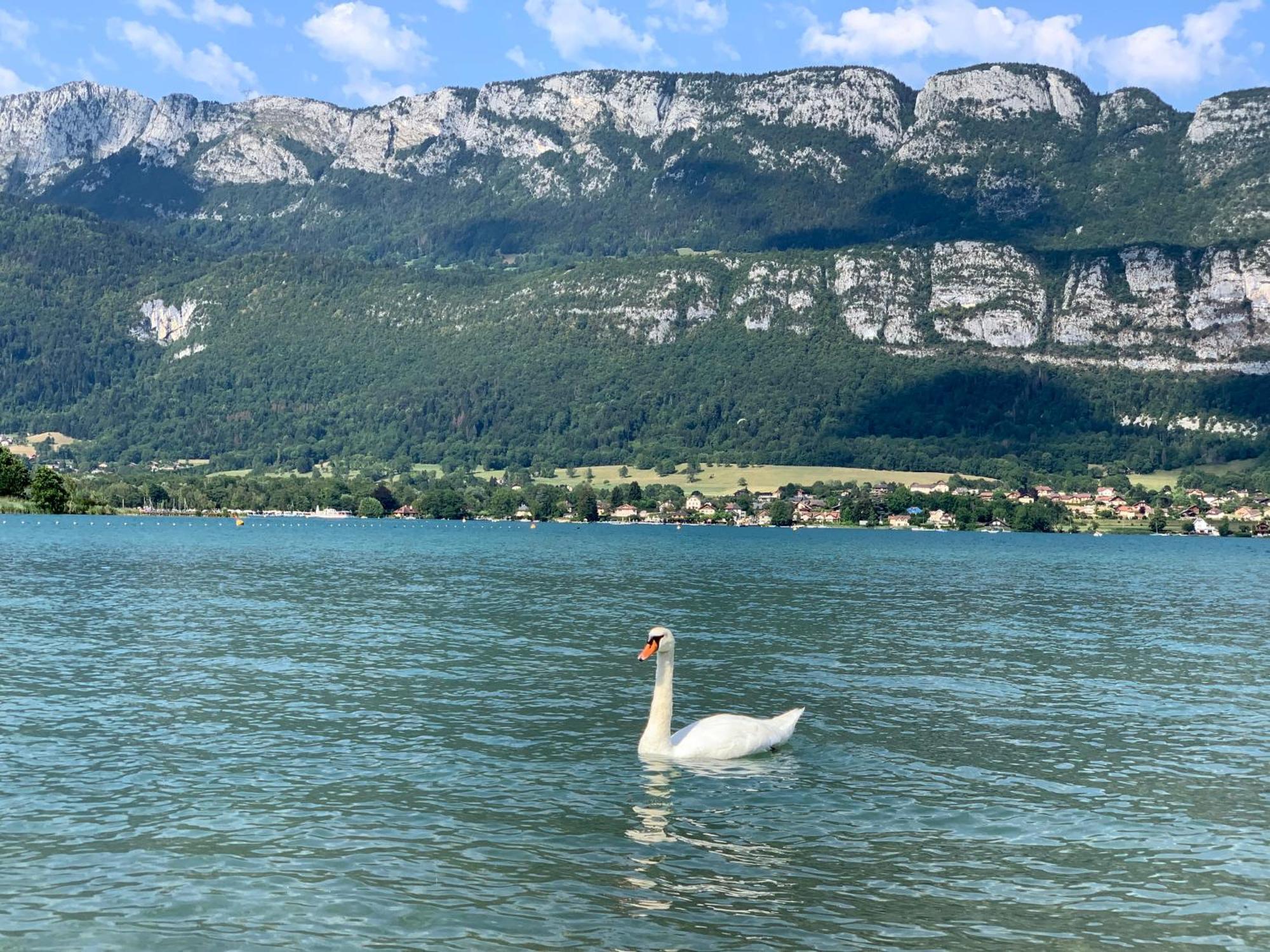 Le Savoyard * Giez